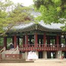 백운면 2109 이미지