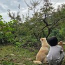 이른비스테이 이미지