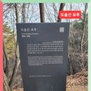 도솔산보루 이미지