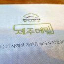 곱다시제주 이미지