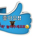 감정코칭 네이버블로그