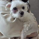 별담동물병원 이미지