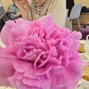 RE:연우님 이벤트 선정 이미지