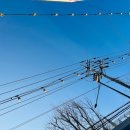 장기식육점 이미지