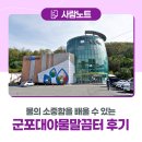 대야도서관 | 물의 소중함을 배울 수 있는 군포대야물말끔터 방문 후기💧