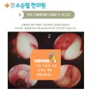 청담경희소순필한의원 이미지