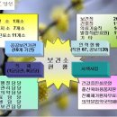 정선군보건소 이미지