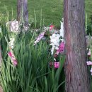 정남진휴랜드관광농원 이미지