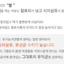 씨앗농부 이미지