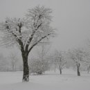 가인야영장 이미지