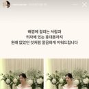엘로디(Elody) 이미지