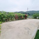 맨투맨부동산공인중개사사무소 이미지