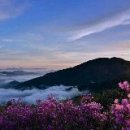 현 교회와 목사님들의 실정! 이미지