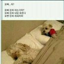 리미지건축사사무소