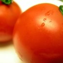 토마토피부과 네이버블로그