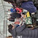 김용섭농장 이미지