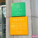 옥빛취