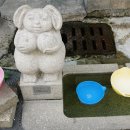 충주옹달샘시장 이미지