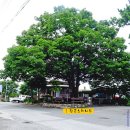 치악산둘레길 1코스 꽃밭머리길 이미지