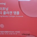 다모아인셀덤