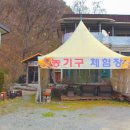 금산인삼종합전시관 이미지