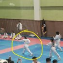 MVP태권도장 이미지