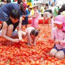 토마토헤어 이미지