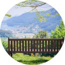 여성도시 | [ 교육 후기 ] 여성친화도시 군민참여단 워크숍