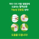 슈올즈구로 이미지