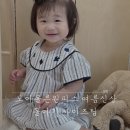 모이몰른 원피스 여름신상 돌아기 사이즈 팁