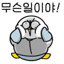 포커스온 복싱 이미지
