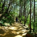 금계체육관 이미지