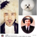 개랑나랑 이미지