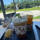 자연태양광2호 이미지