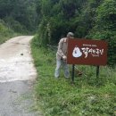 닭사랑농장 이미지