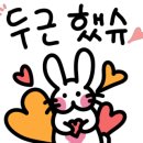 순천시청소년수련원야영장 이미지