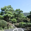 석적동물병원 | 구미근교 대구근교 아이와 가볼만한곳 석적 블루닷카페 애견동반가능 (feat.칠곡유기동물보호센터)