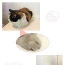 이사칠 이미지