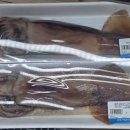 개등드리# 이미지