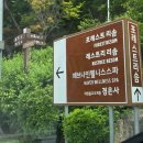 제천 레스트리 리솜 솜니아 S30 타워클린 키즈 룸 이용 후기 (+맛집, 워터파크)