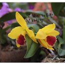 의성꽃화원 이미지