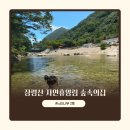 강산약국 | 장령산 자연휴양림 숲속의집 느티나무 2호 숙박 후기 및 물놀이, 장령산 숲속동굴 체험 까지!(향수카드...