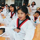 정의태권도체육관 이미지