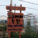 베리사오 네이버블로그