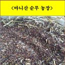 오장농장 이미지
