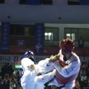 세기태권도전문체육관 이미지