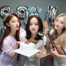 누이브루