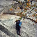 채송화농장 이미지