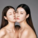브러쉬바이수미