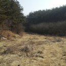 요제농장 이미지